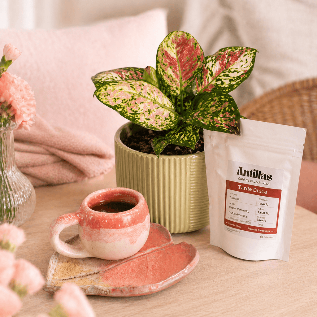 Combo regalo para mamá 🌸: Planta Exótica + Taza y Platito Artesanal + Café Antillas