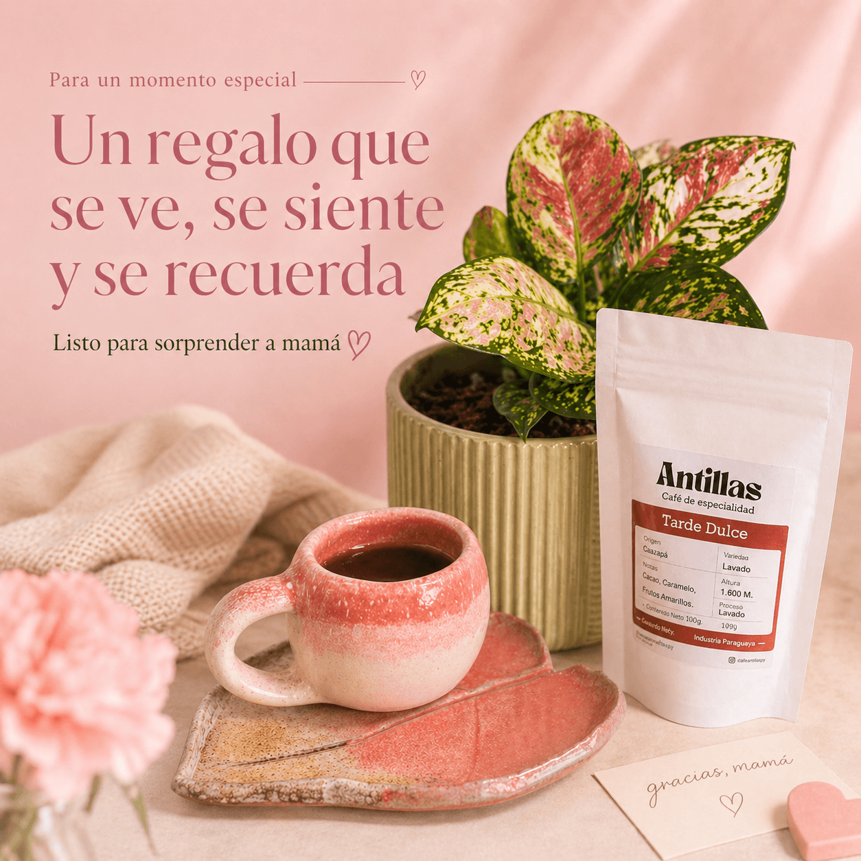 Combo regalo para mamá 🌸: Planta Exótica + Taza y Platito Artesanal + Café Antillas