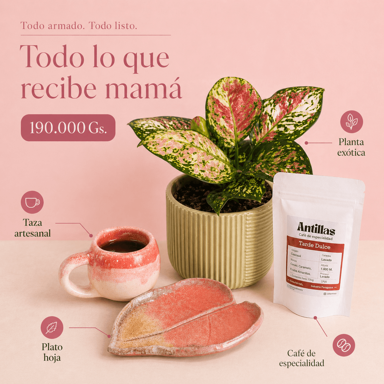 Combo regalo para mamá 🌸: Planta Exótica + Taza y Platito Artesanal + Café Antillas