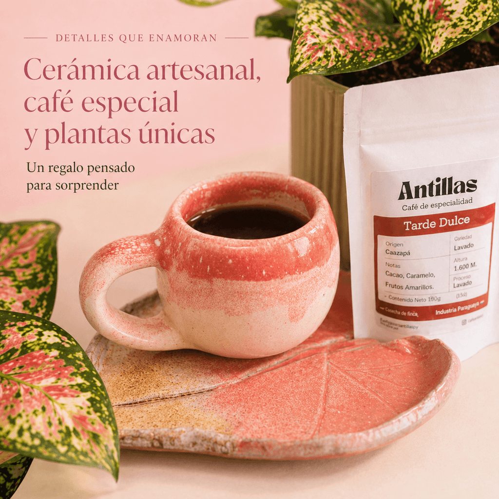 Combo regalo para mamá 🌸: Planta Exótica + Taza y Platito Artesanal + Café Antillas