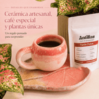 Combo regalo para mamá 🌸: Planta Exótica + Taza y Platito Artesanal + Café Antillas