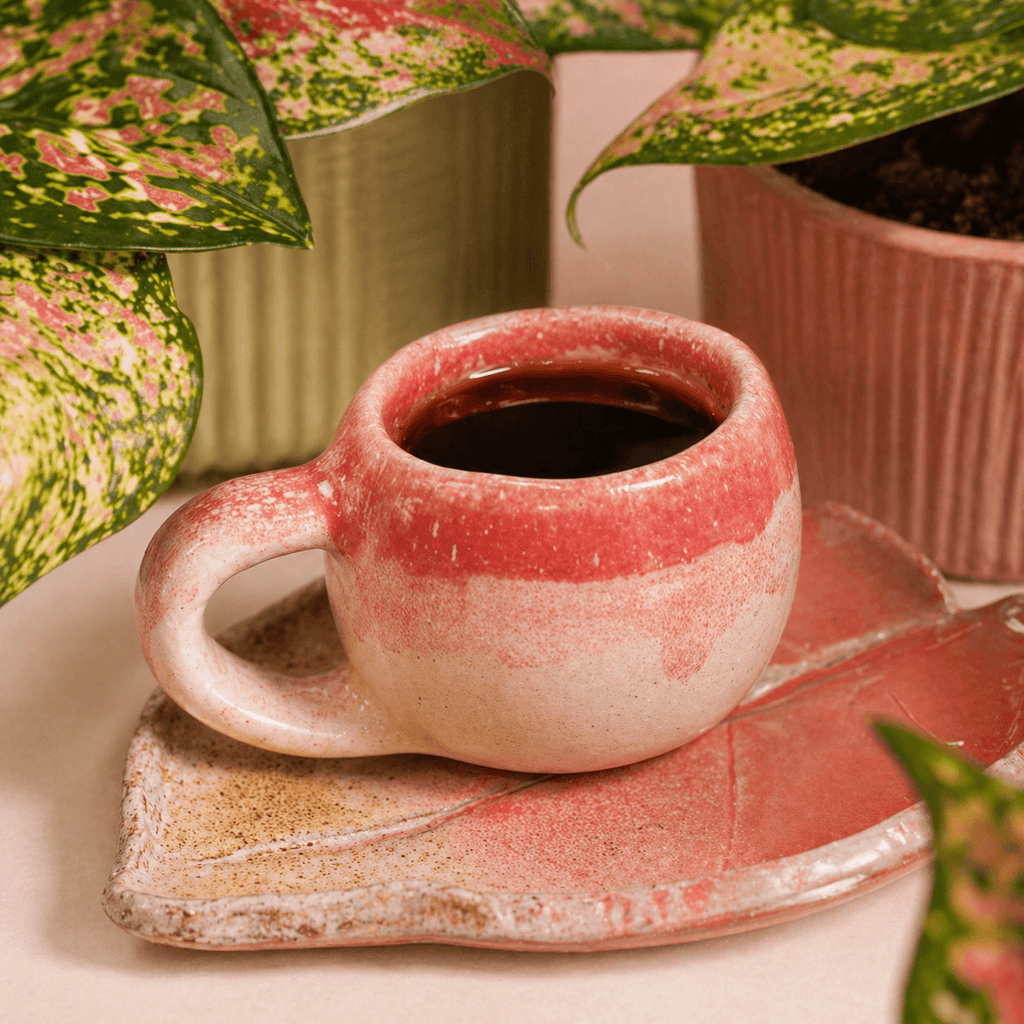 Combo regalo para mamá 🌸: Planta Exótica + Taza y Platito Artesanal + Café Antillas