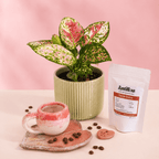 Combo regalo para mamá 🌸: Planta Exótica + Taza y Platito Artesanal + Café Antillas