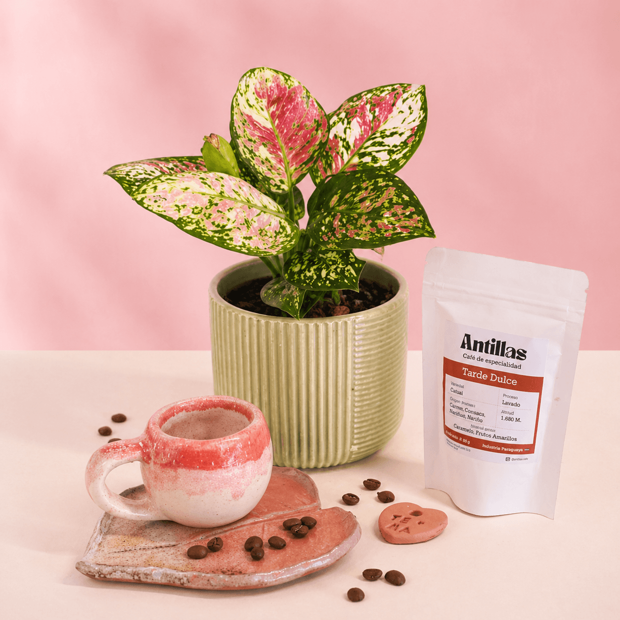 Combo regalo para mamá 🌸: Planta Exótica + Taza y Platito Artesanal + Café Antillas