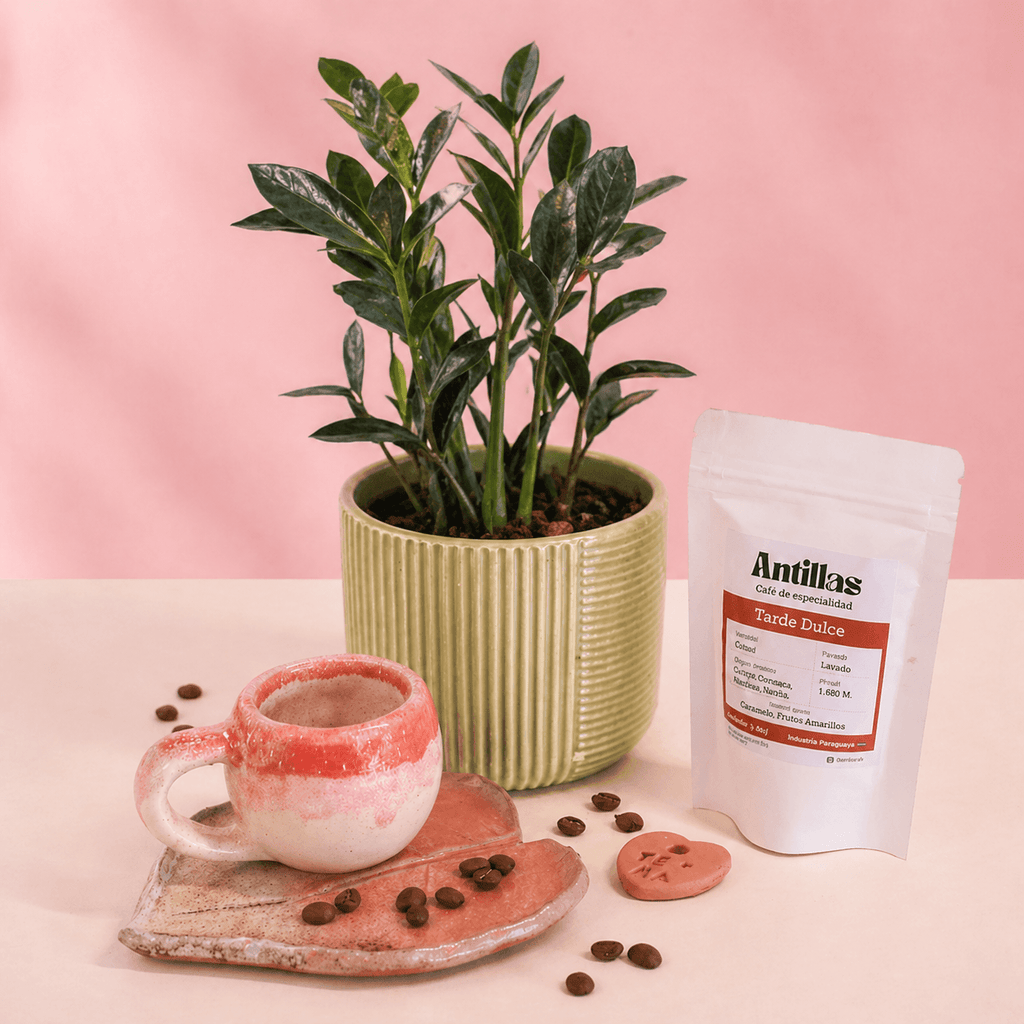 Combo regalo para mamá 🌸: Planta Exótica + Taza y Platito Artesanal + Café Antillas