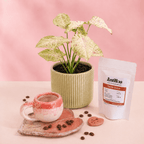 Combo regalo para mamá 🌸: Planta Exótica + Taza y Platito Artesanal + Café Antillas