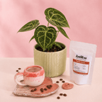 Combo regalo para mamá 🌸: Planta Exótica + Taza y Platito Artesanal + Café Antillas