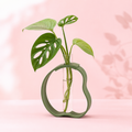 Hidro Flory porta esquejes premium color verde musgo
