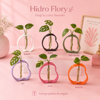 Hidro Flory porta esquejes colores disponibles