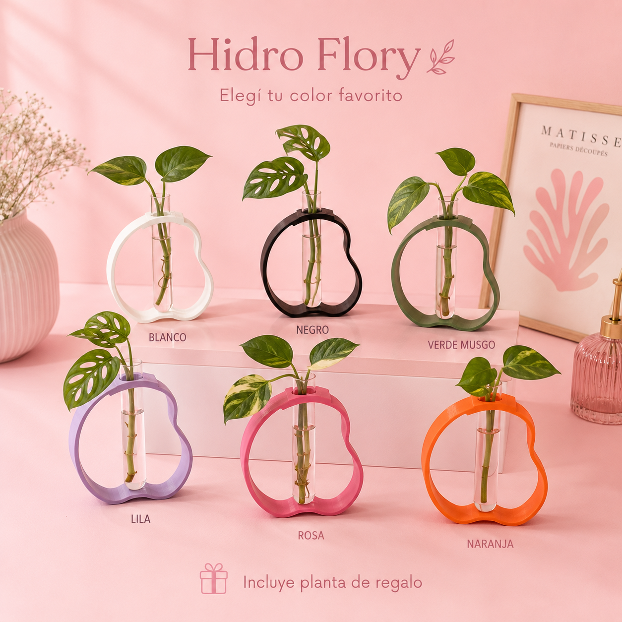 Hidro Flory porta esquejes colores disponibles